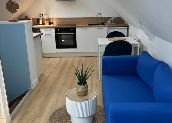 Studio Marine 30m2 - Lille et stade 15 min Appartement *