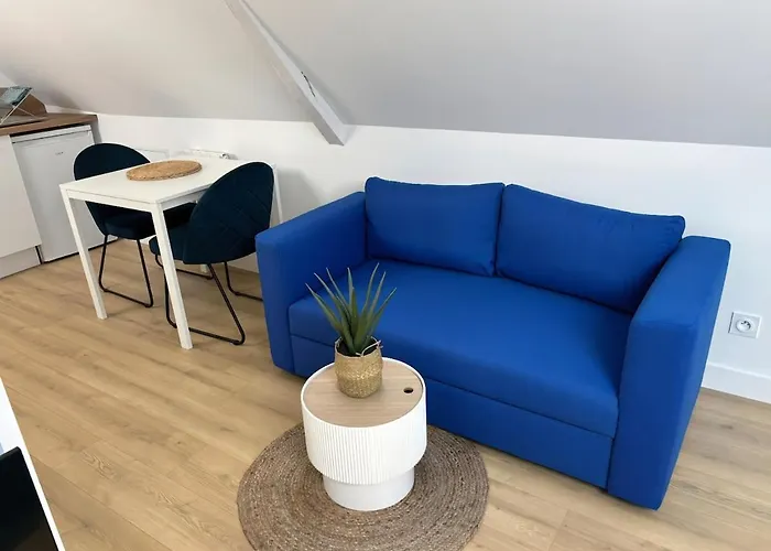 Studio Marine 30m2 - Lille et stade 15 min Appartement