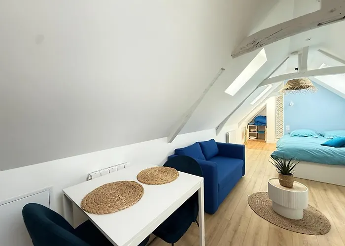 Apartment Studio Marine 30M2 - Lille Et Stade 15 Min *